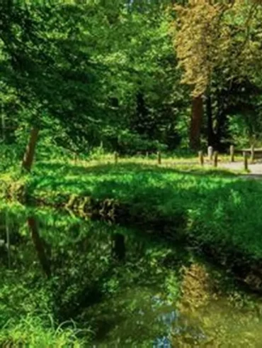 Quelle est la réputation du bois de Boulogne ?