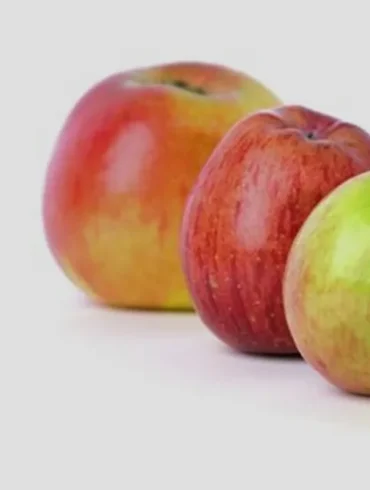 Quelle est la masse moyenne d'une pomme ?