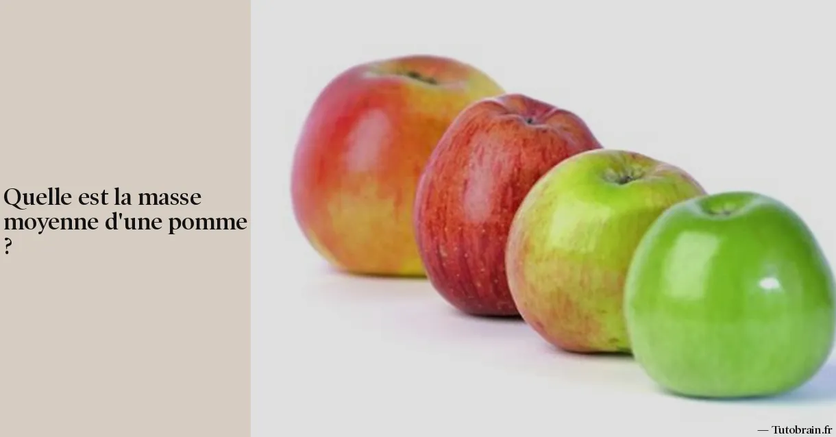 Quelle est la masse moyenne d'une pomme ?