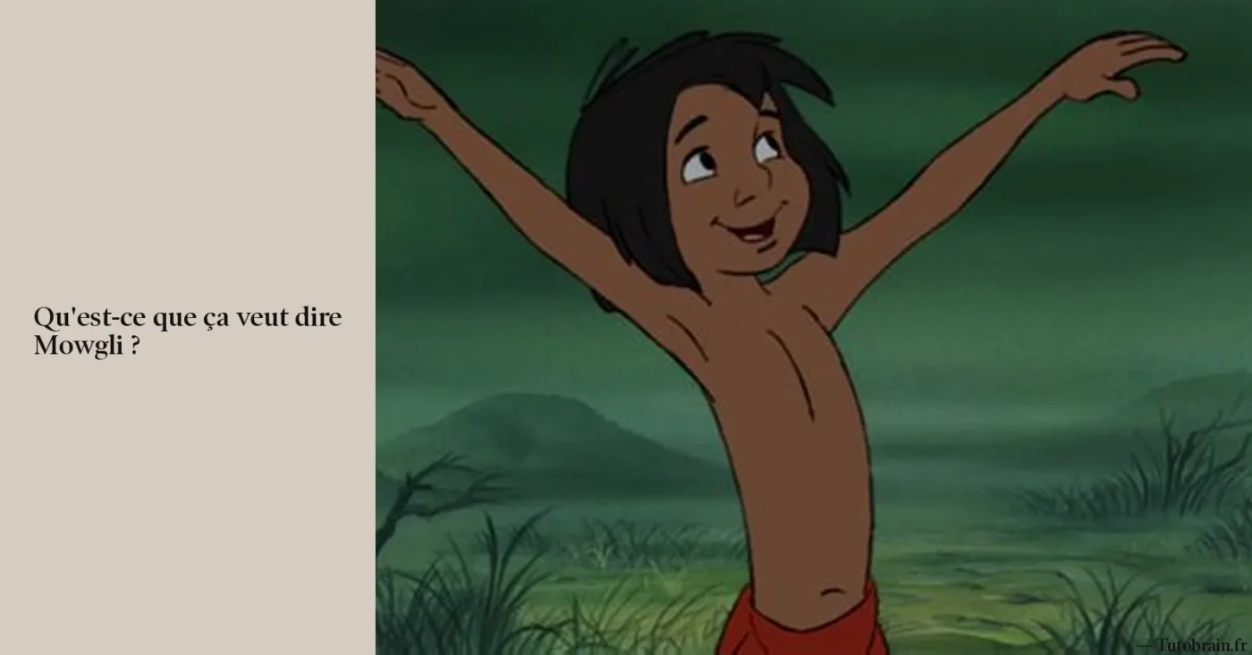 Qu'est-ce que ça veut dire Mowgli ?