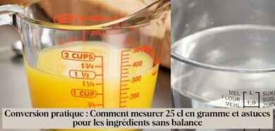 Conversion pratique : Comment mesurer 25 cl en gramme et astuces pour