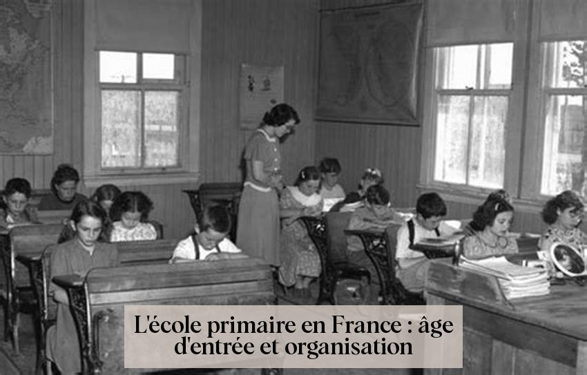 L'école primaire en France : âge d'entrée et organisation