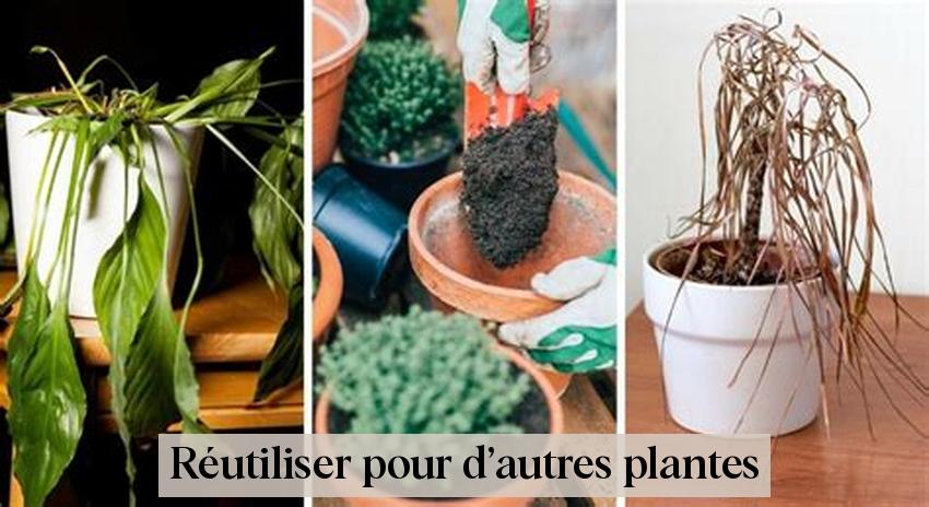 Réutiliser pour d’autres plantes